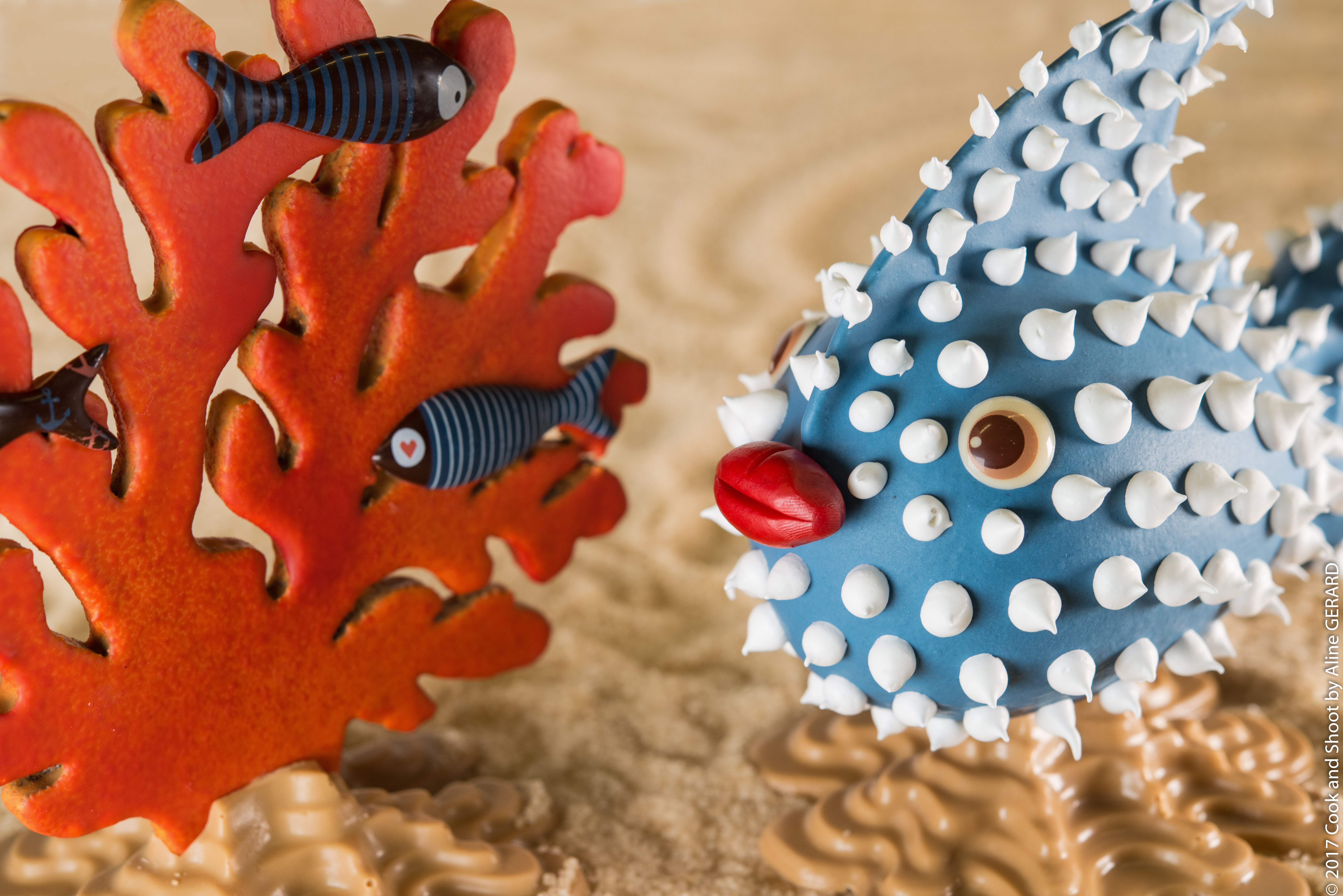 (c)cookandshoot 2017 - CAS--90- aps.jpg