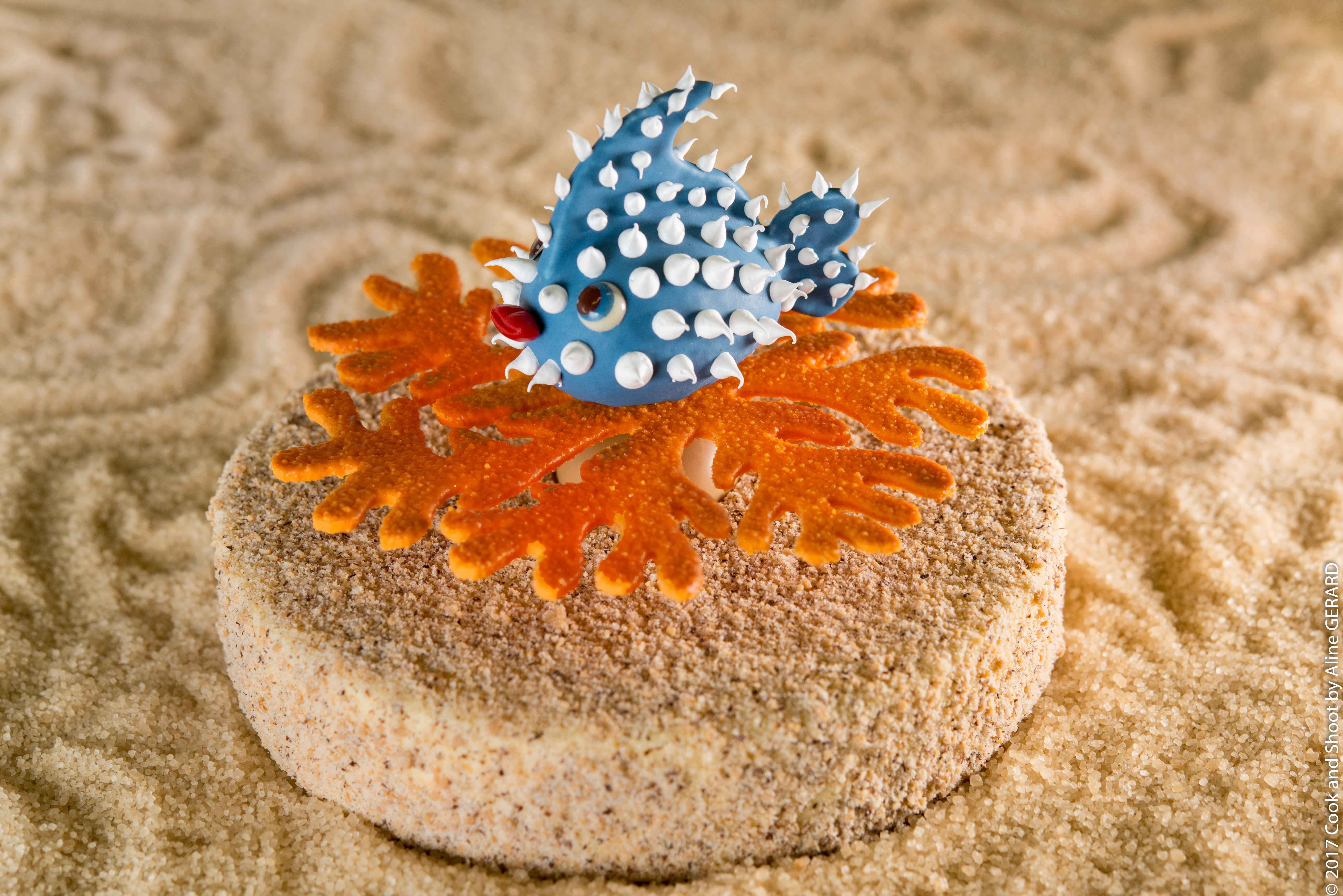 (c)cookandshoot 2017 - CAS--92- aps.jpg