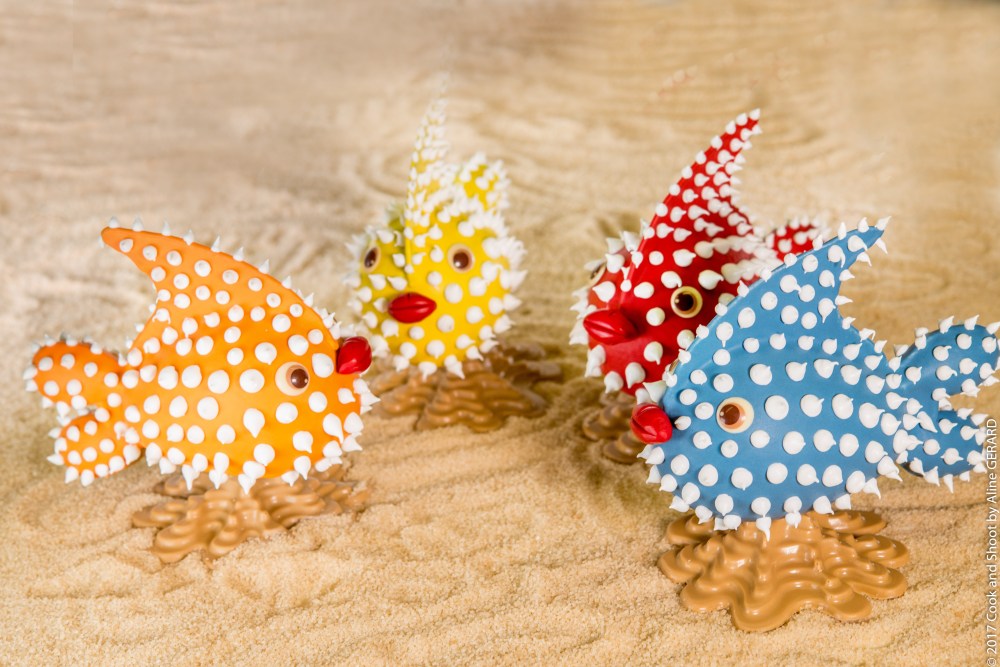 (c)cookandshoot 2017 - CAS-_1-13- aps.jpg